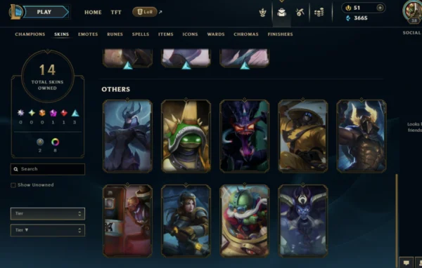 NA | 14 Skins | 45 Champions - Image 4