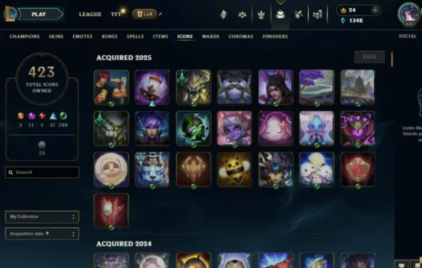 NA | 383 Skins | 163 Champions - Image 5