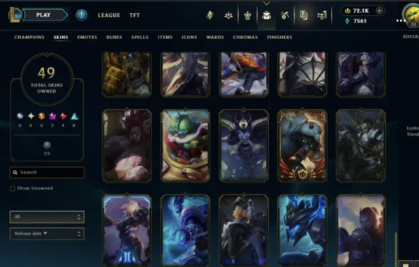 NA | 49 Skins | 66 Champions - Image 6